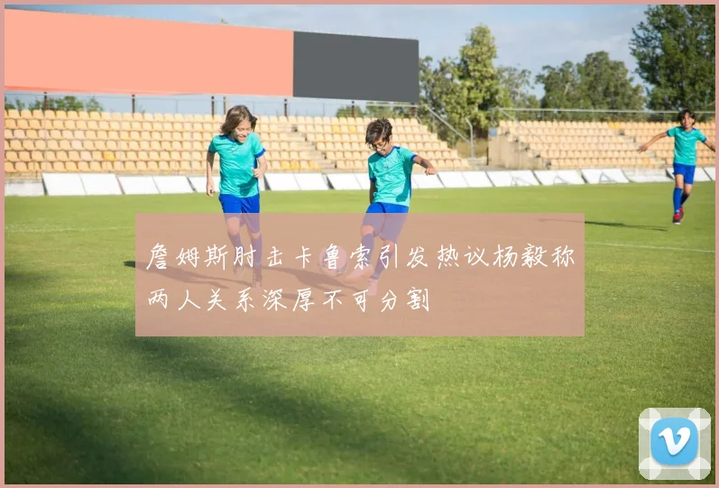詹姆斯肘击卡鲁索引发热议杨毅称两人关系深厚不可分割