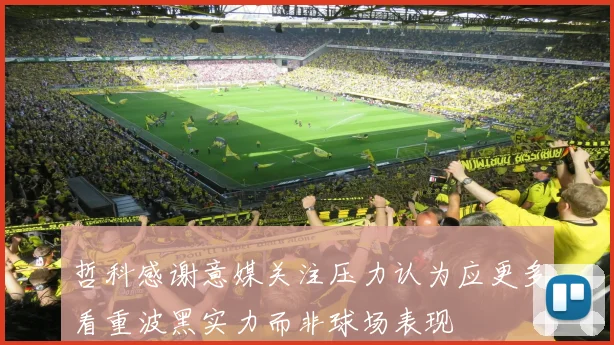 哲科感谢意媒关注压力认为应更多看重波黑实力而非球场表现
