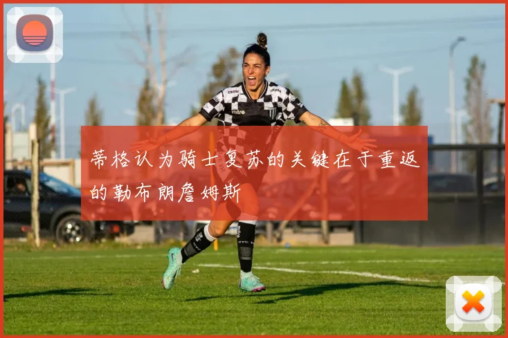 蒂格认为骑士复苏的关键在于重返的勒布朗詹姆斯