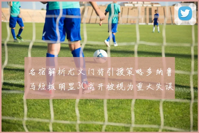名宿解析尤文门将引援策略多纳鲁马短板明显3C离开被视为重大失误