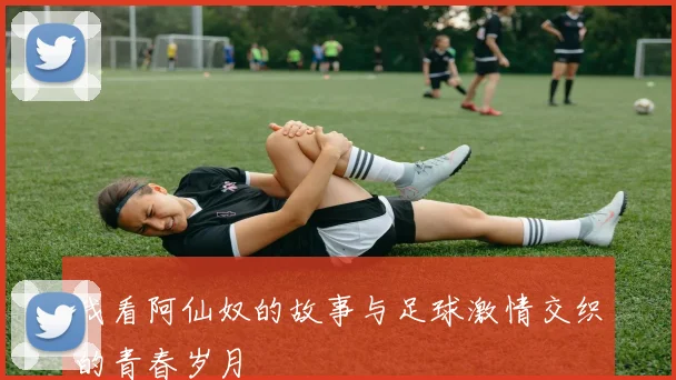 我看阿仙奴的故事与足球激情交织的青春岁月